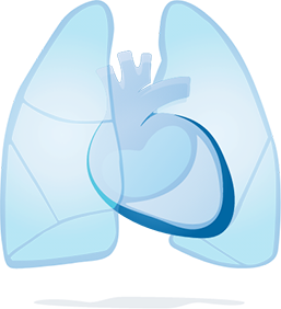 Healthy Pericardium Graphic