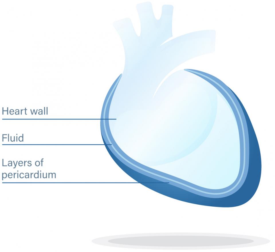 Healthy Heart
