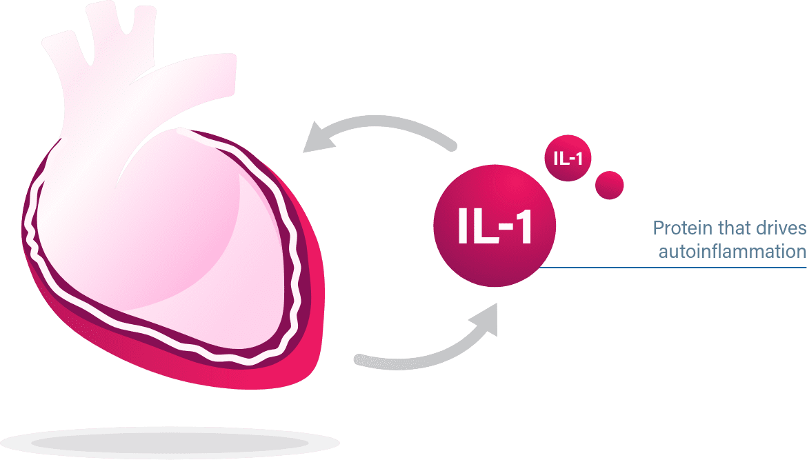 The cycle of autoinflammation