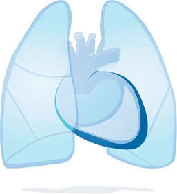 Healthy Pericardium Graphic