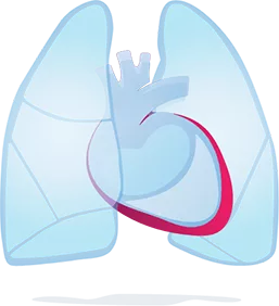 Inflamed Pericardium Graphic